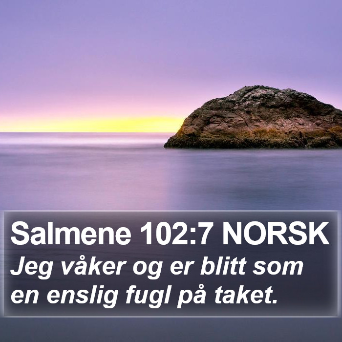 Salmene 102:7 NORSK Bible Study