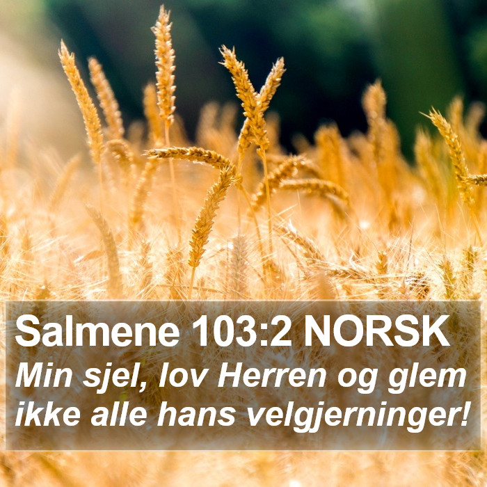 Salmene 103:2 NORSK Bible Study