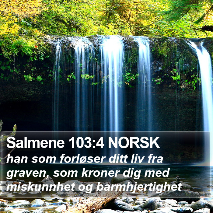 Salmene 103:4 NORSK Bible Study