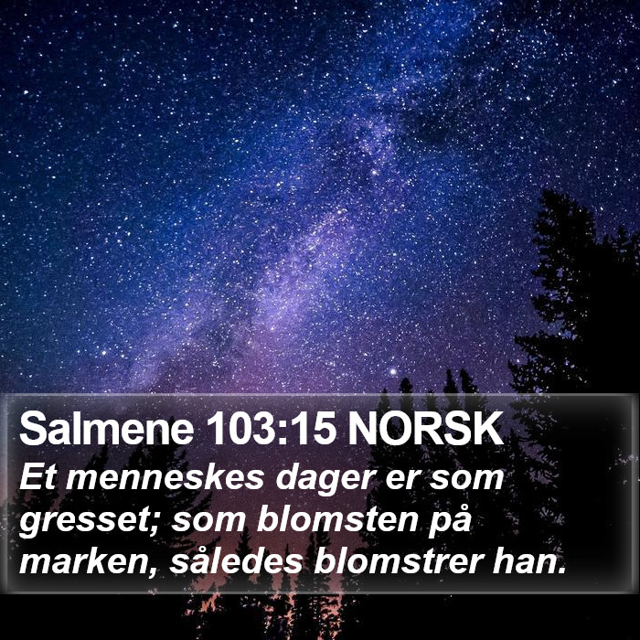 Salmene 103:15 NORSK Bible Study