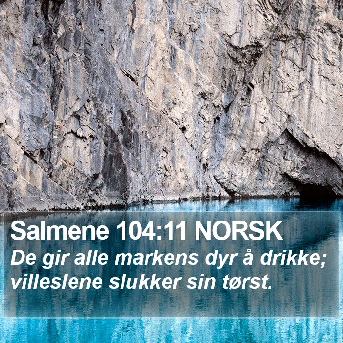 Salmene 104:11 NORSK Bible Study