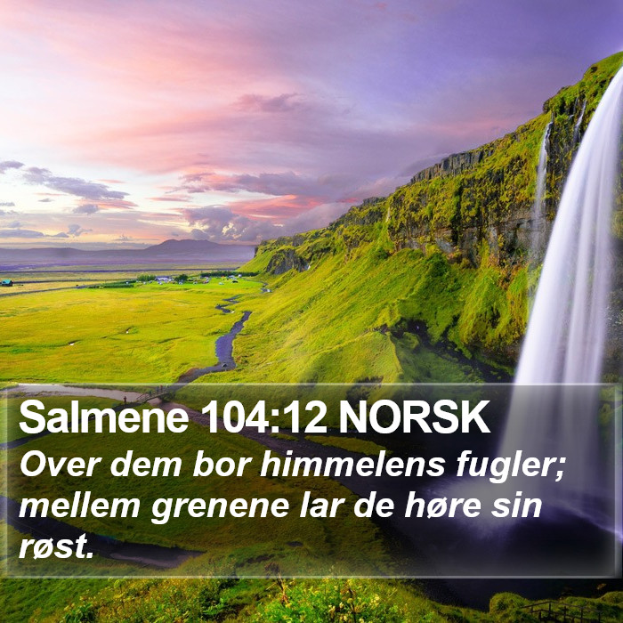 Salmene 104:12 NORSK Bible Study