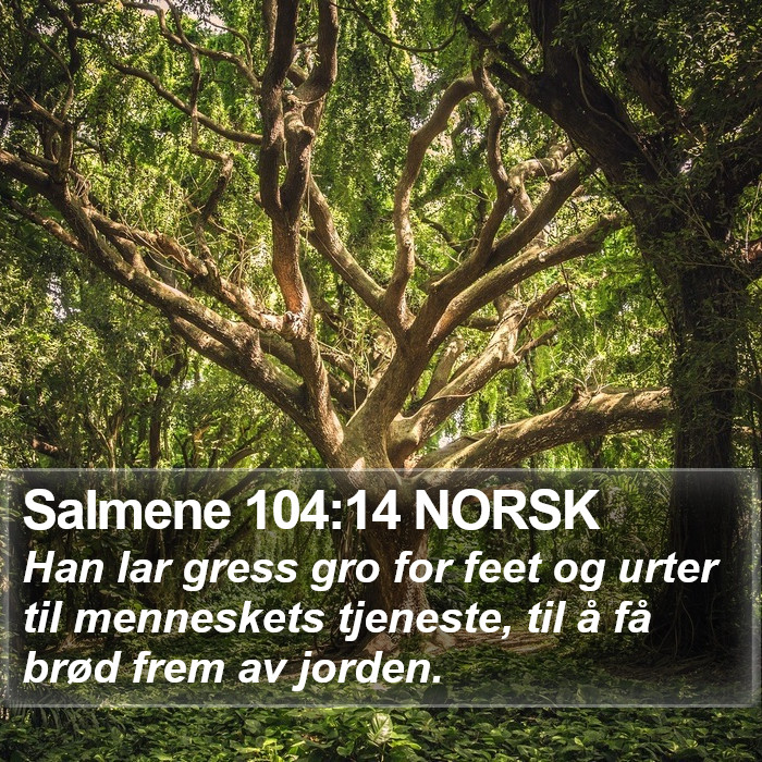 Salmene 104:14 NORSK Bible Study