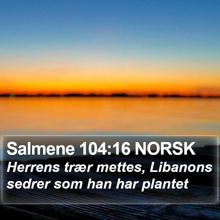 Salmene 104:16 NORSK Bible Study