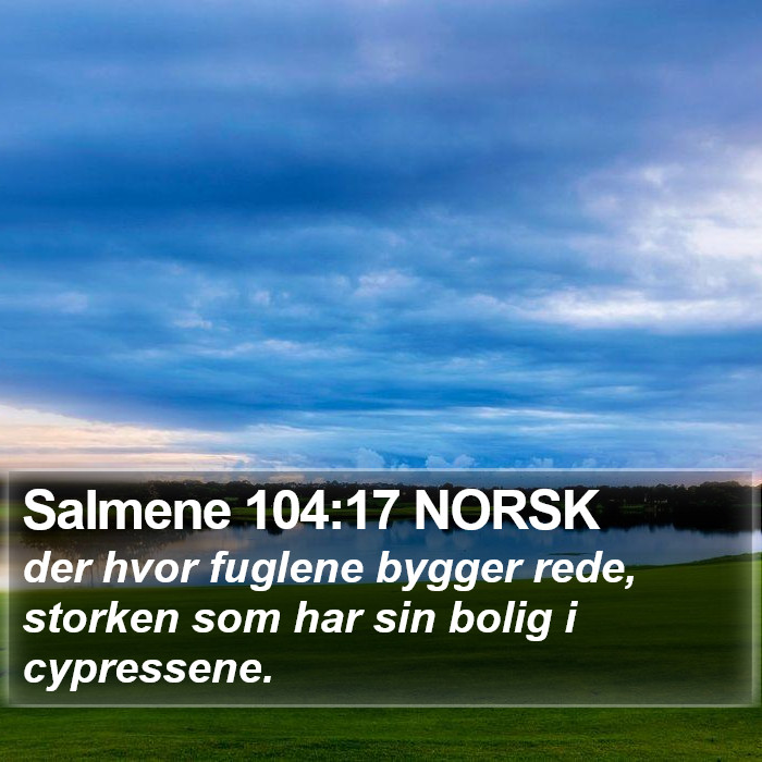 Salmene 104:17 NORSK Bible Study