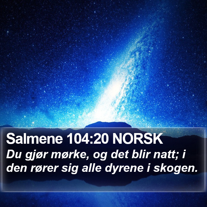 Salmene 104:20 NORSK Bible Study