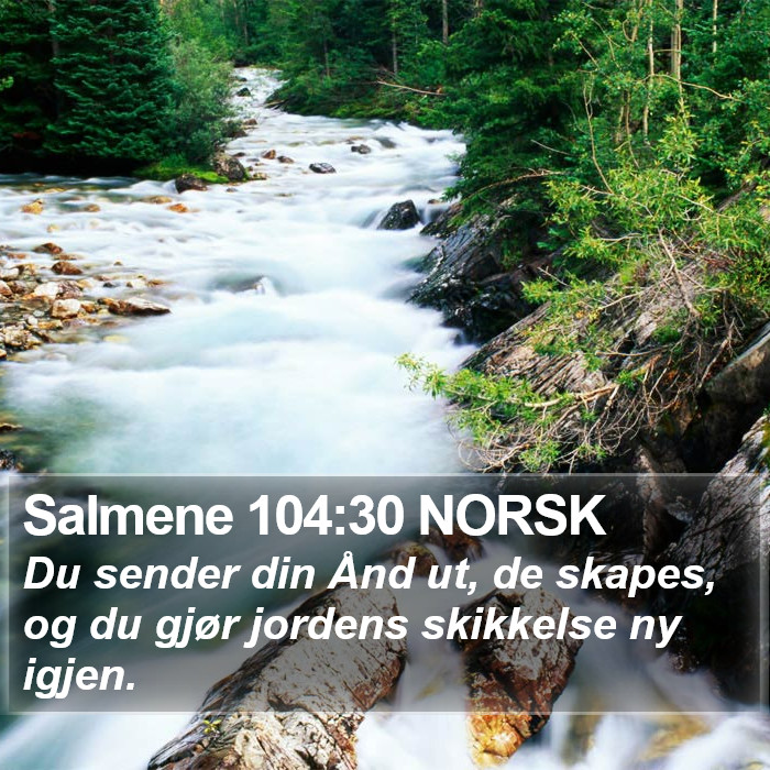 Salmene 104:30 NORSK Bible Study