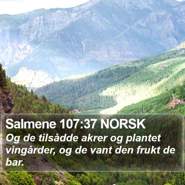 Salmene 107:37 NORSK Bible Study