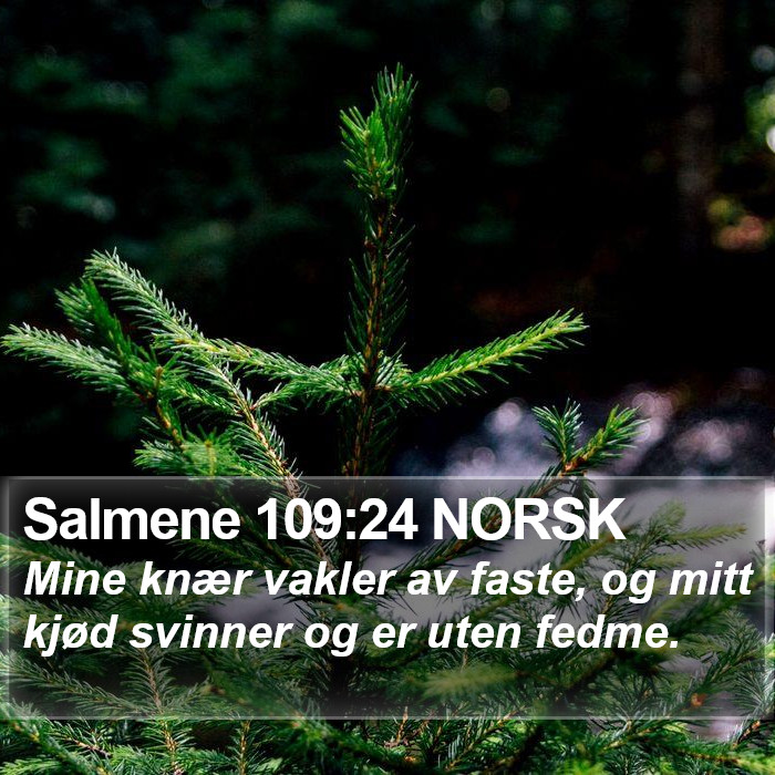 Salmene 109:24 NORSK Bible Study