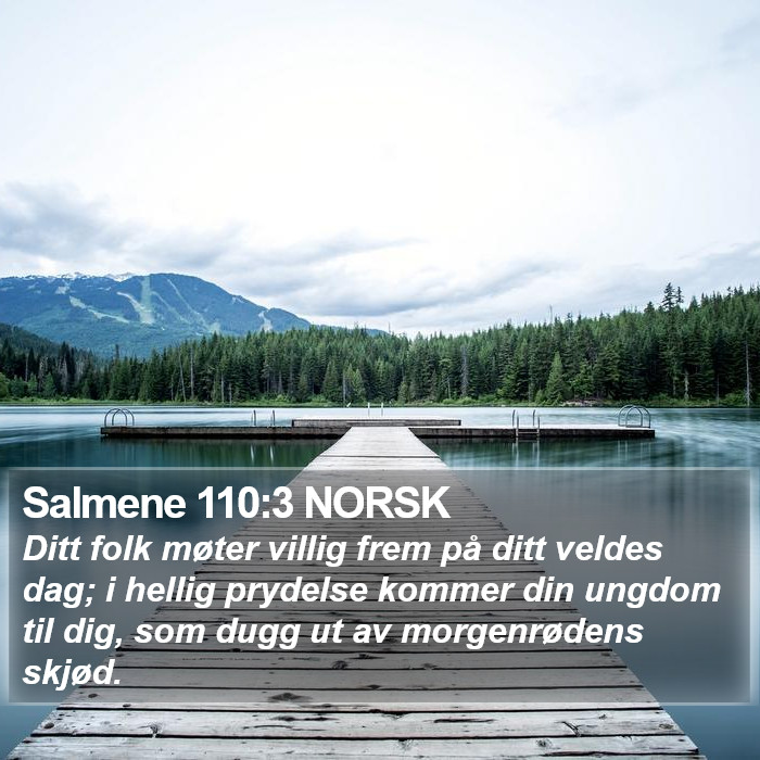 Salmene 110:3 NORSK Bible Study