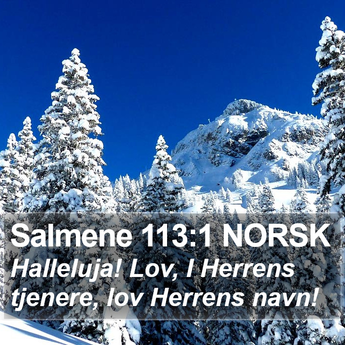 Salmene 113:1 NORSK Bible Study