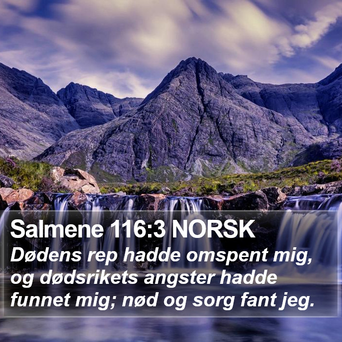 Salmene 116:3 NORSK Bible Study