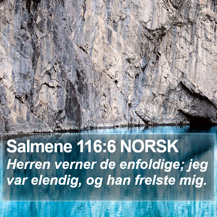 Salmene 116:6 NORSK Bible Study