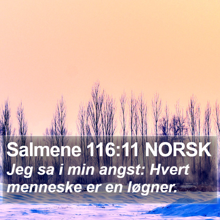 Salmene 116:11 NORSK Bible Study