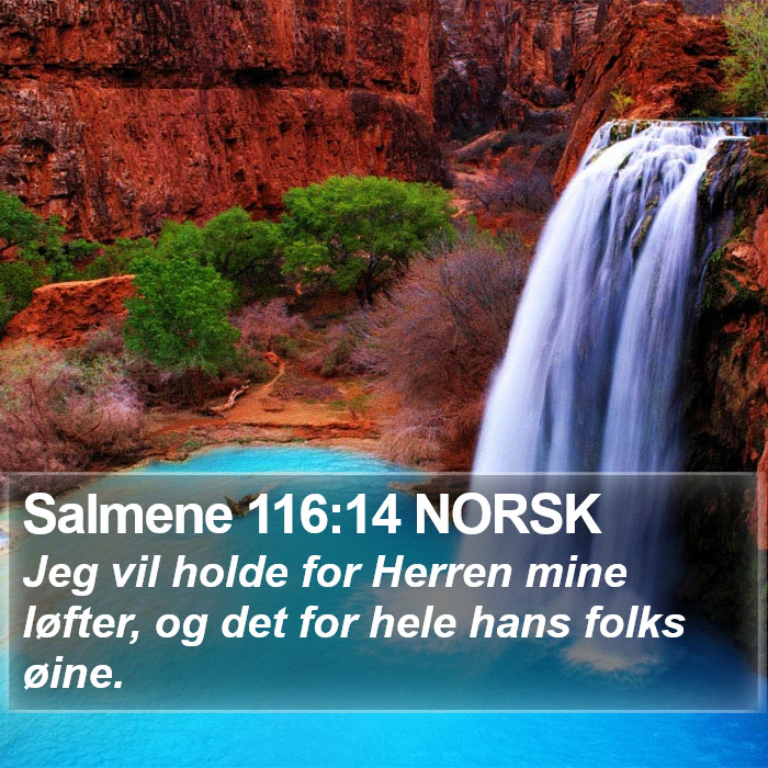 Salmene 116:14 NORSK Bible Study