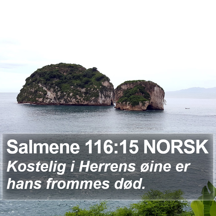 Salmene 116:15 NORSK Bible Study