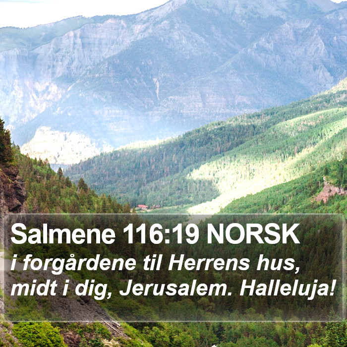 Salmene 116:19 NORSK Bible Study