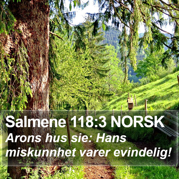 Salmene 118:3 NORSK Bible Study