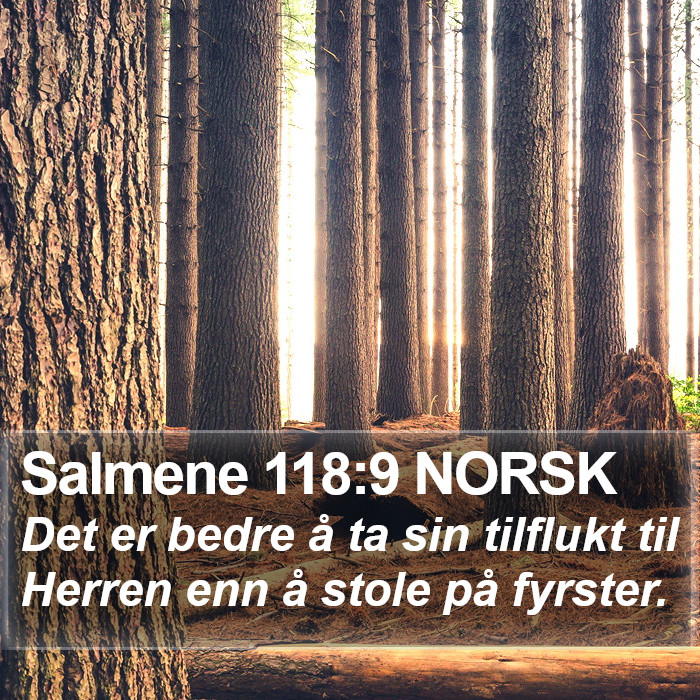 Salmene 118:9 NORSK Bible Study