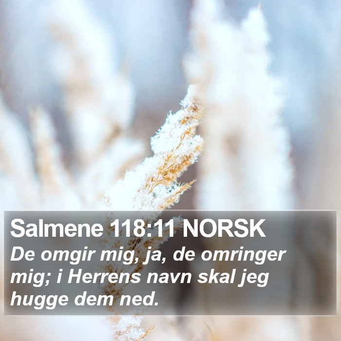 Salmene 118:11 NORSK Bible Study