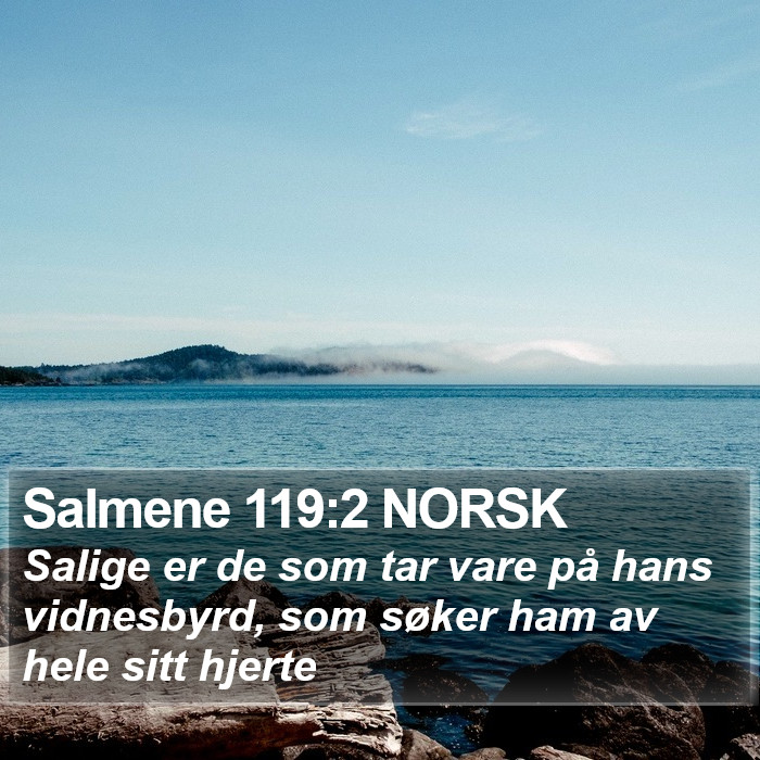 Salmene 119:2 NORSK Bible Study