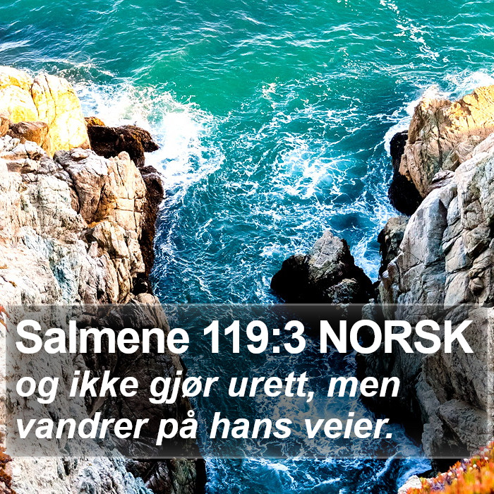 Salmene 119:3 NORSK Bible Study