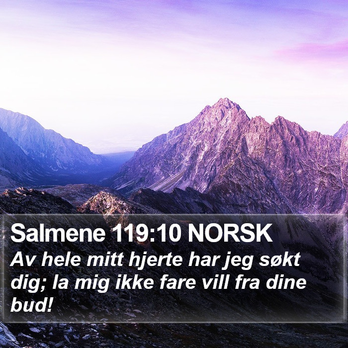 Salmene 119:10 NORSK Bible Study