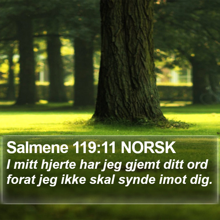 Salmene 119:11 NORSK Bible Study