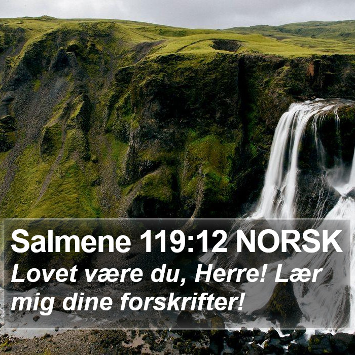 Salmene 119:12 NORSK Bible Study