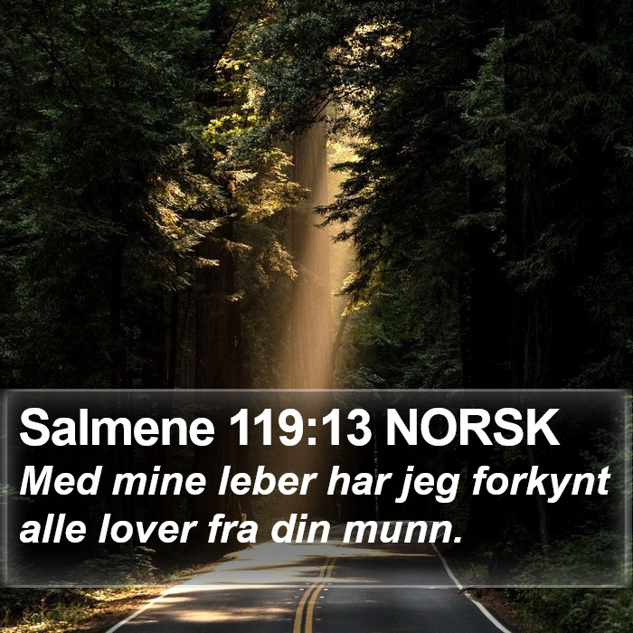 Salmene 119:13 NORSK Bible Study