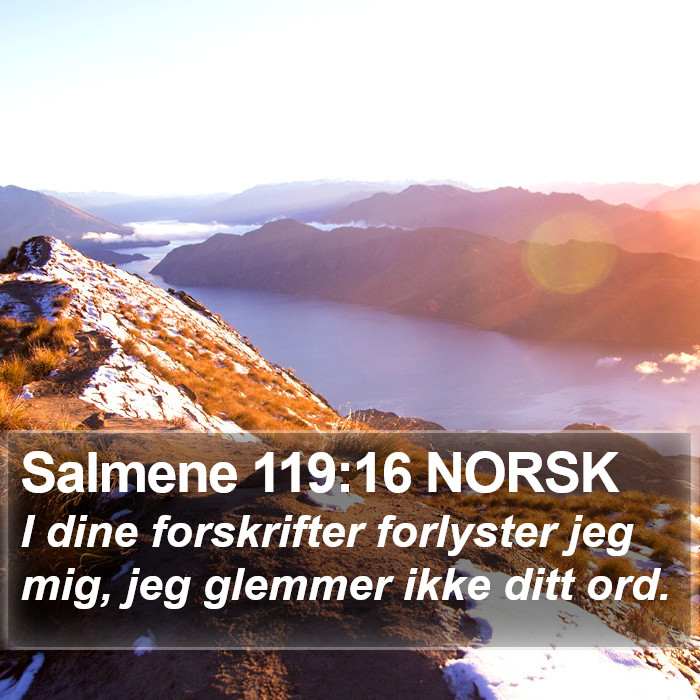 Salmene 119:16 NORSK Bible Study