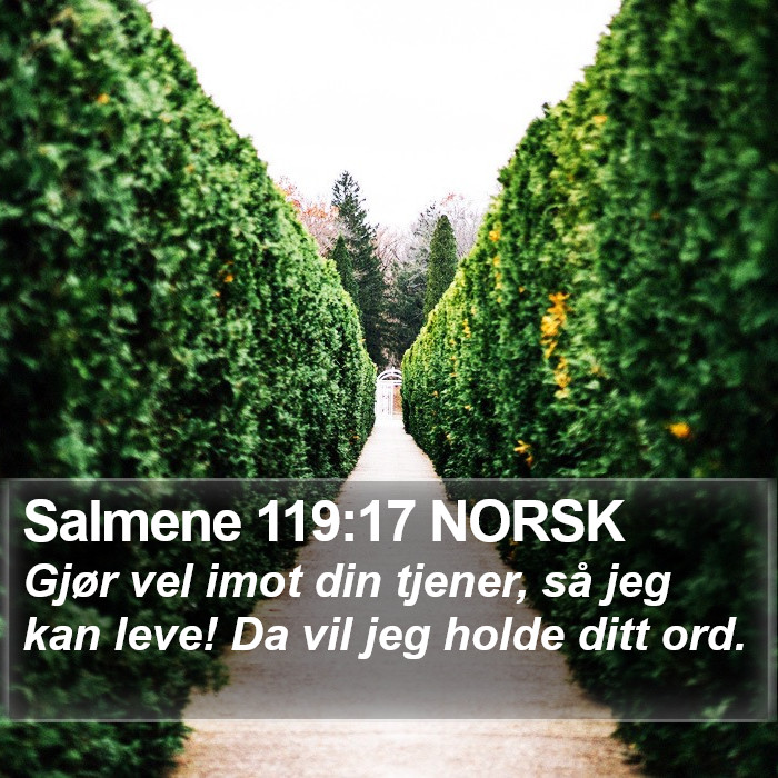 Salmene 119:17 NORSK Bible Study