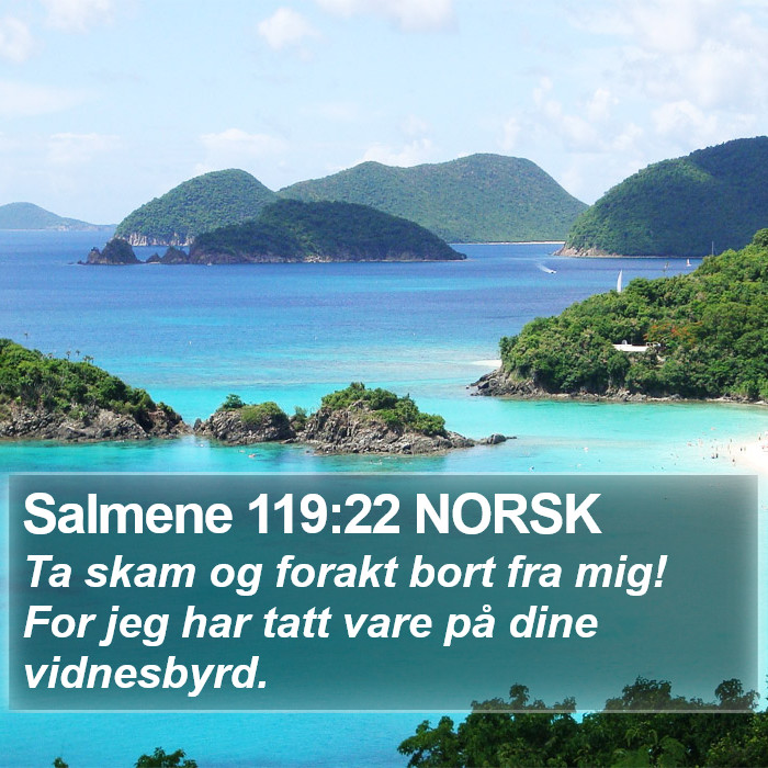 Salmene 119:22 NORSK Bible Study