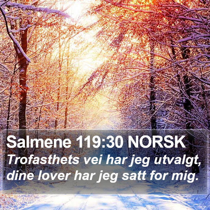 Salmene 119:30 NORSK Bible Study