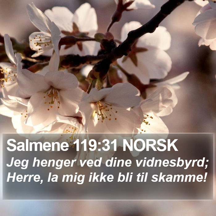 Salmene 119:31 NORSK Bible Study