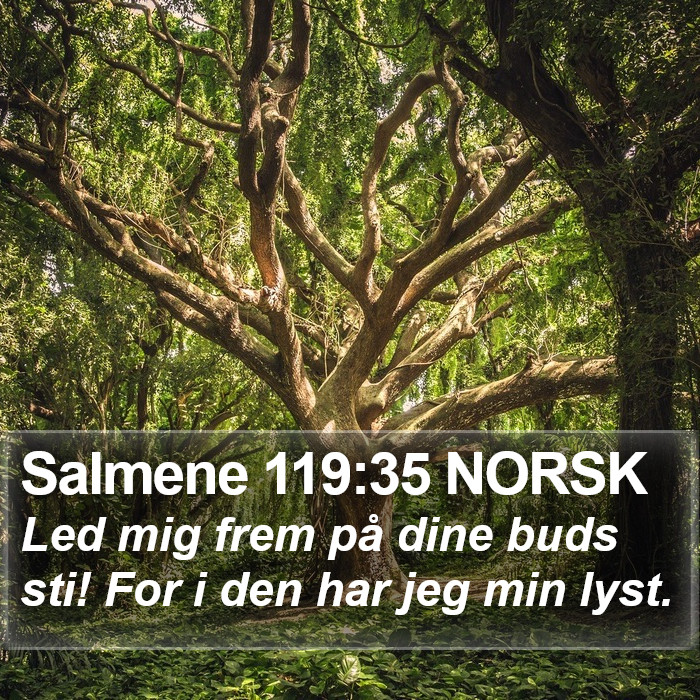 Salmene 119:35 NORSK Bible Study