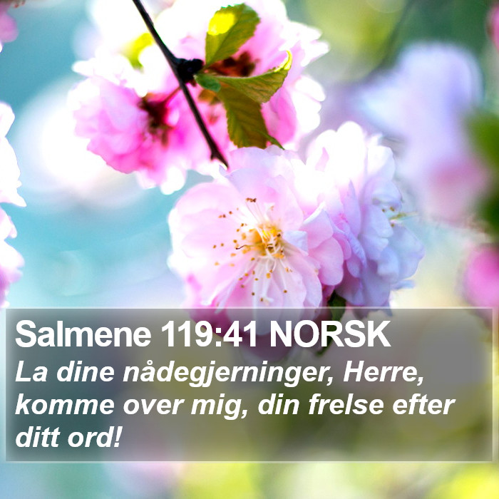 Salmene 119:41 NORSK Bible Study