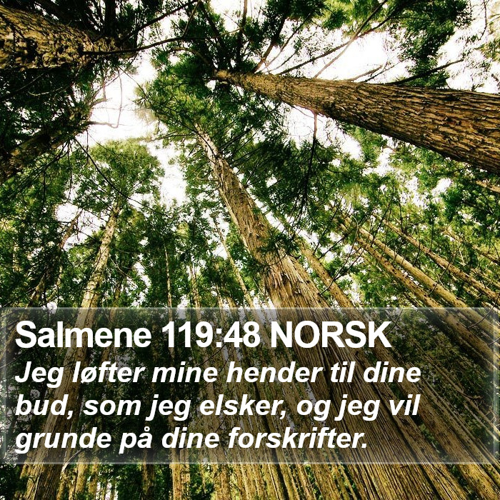 Salmene 119:48 NORSK Bible Study