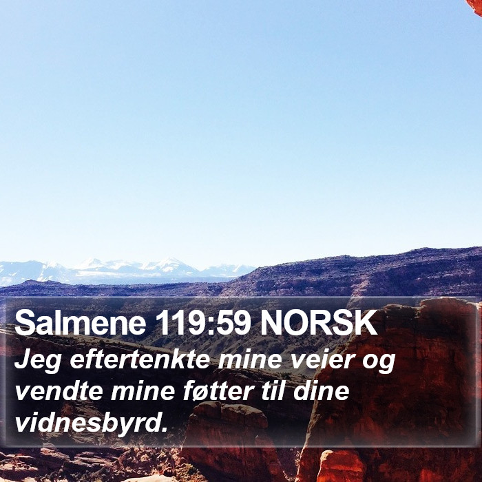 Salmene 119:59 NORSK Bible Study