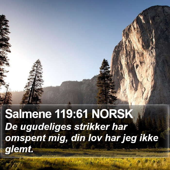 Salmene 119:61 NORSK Bible Study