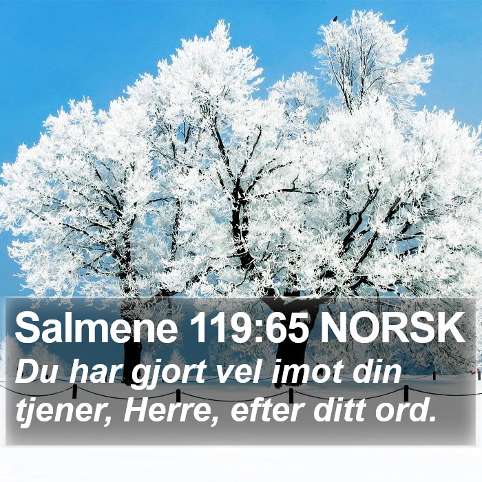 Salmene 119:65 NORSK Bible Study