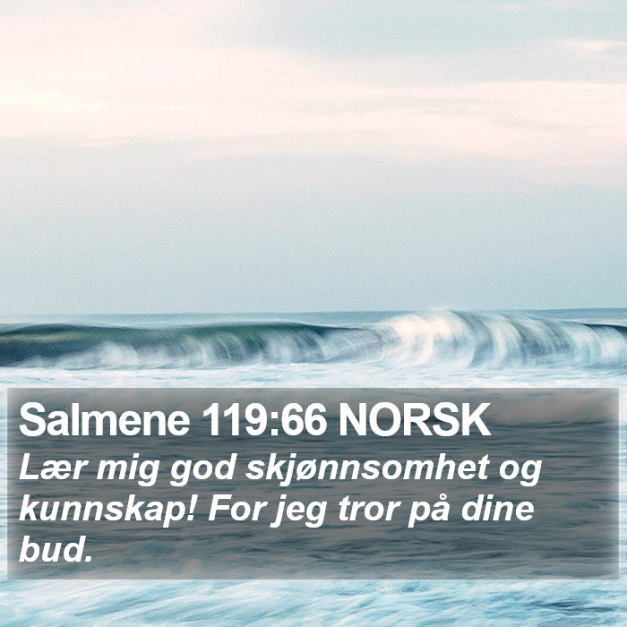 Salmene 119:66 NORSK Bible Study