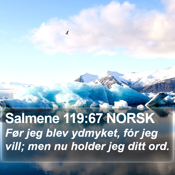 Salmene 119:67 NORSK Bible Study