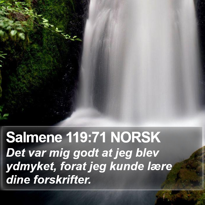 Salmene 119:71 NORSK Bible Study