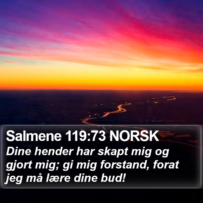 Salmene 119:73 NORSK Bible Study