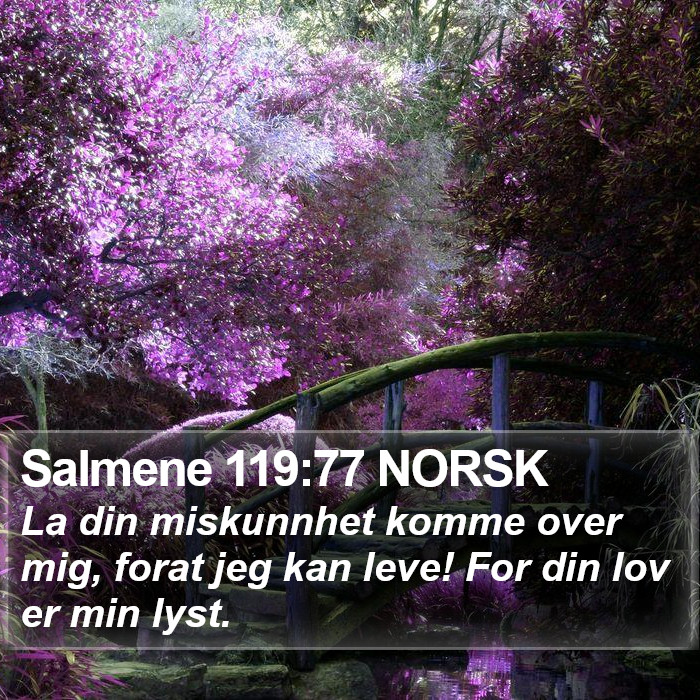 Salmene 119:77 NORSK Bible Study