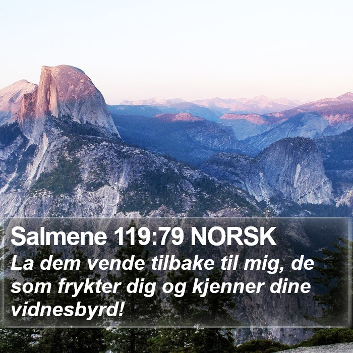 Salmene 119:79 NORSK Bible Study