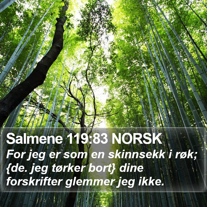 Salmene 119:83 NORSK Bible Study