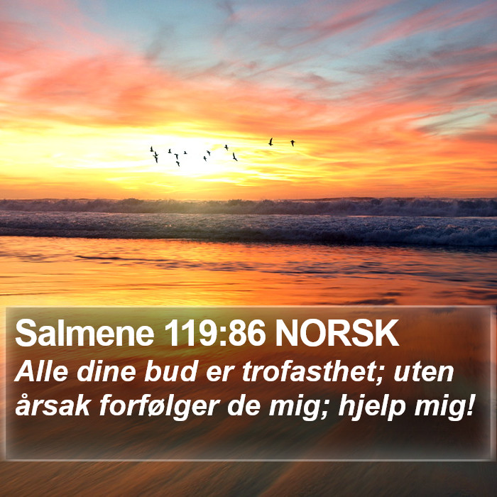 Salmene 119:86 NORSK Bible Study