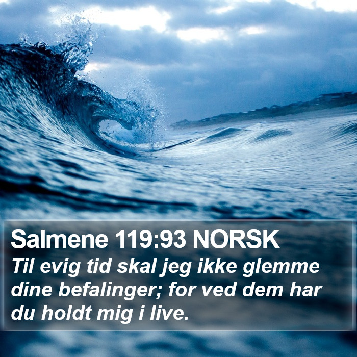 Salmene 119:93 NORSK Bible Study